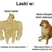 Laski i dzieńchłopaka