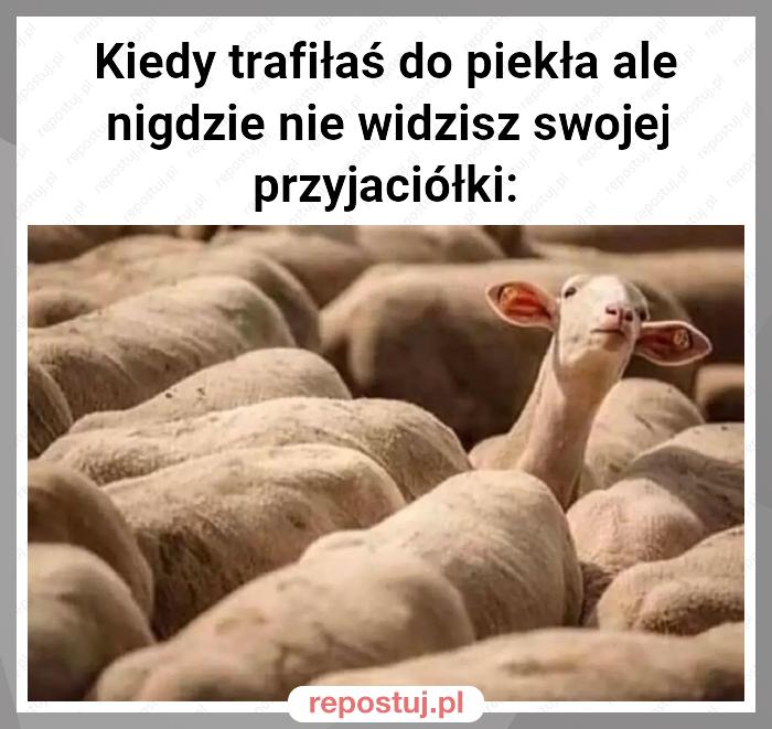 Kiedy trafiłaś do piekła ale nigdzie nie widzisz swojej przyjaciółki: