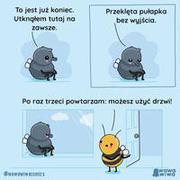 Kiedy próbujesz komuś pomóc.. (114 genialnych komiksów)