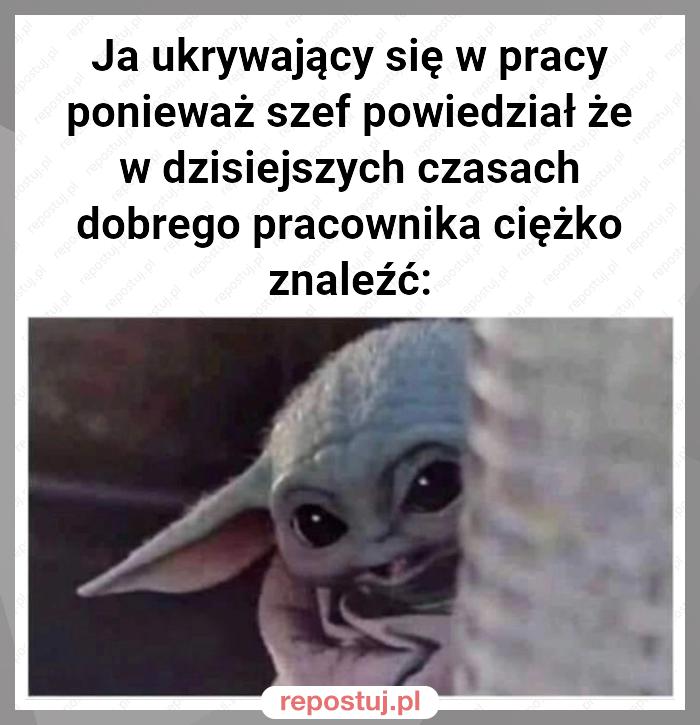 Ja ukrywający się w pracy ponieważ szef powiedział że w dzisiejszych czasach dobrego pracownika ciężko znaleźć: