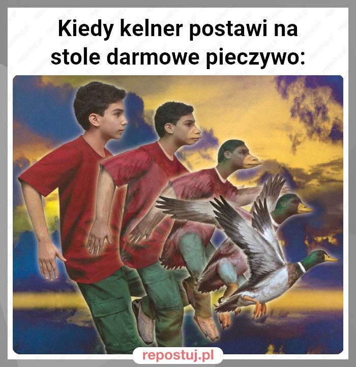 Kiedy kelner postawi na stole darmowe pieczywo: