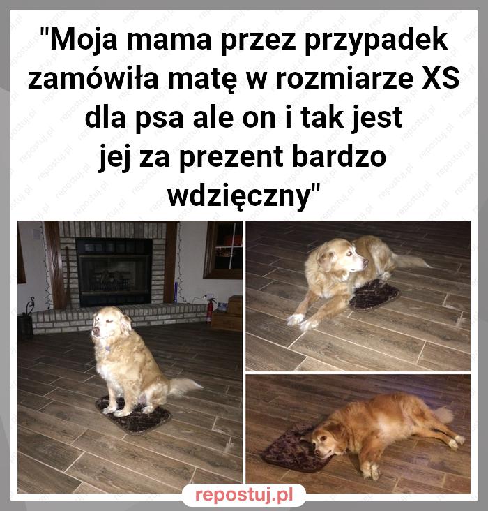 "Moja mama przez przypadek zamówiła matę w rozmiarze XS dla psa ale on i tak jest jej za prezent bardzo wdzięczny"