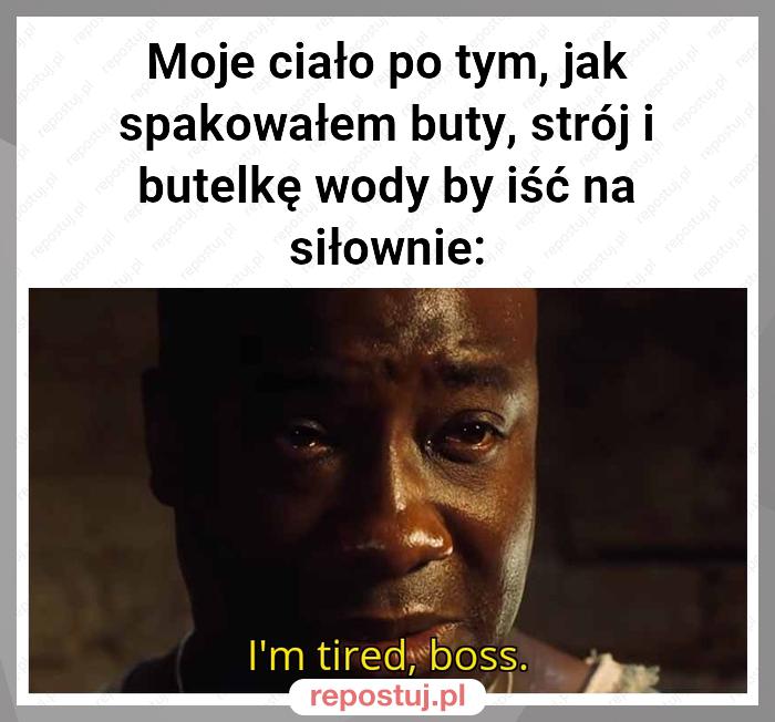 Moje ciało po tym, jak spakowałem buty, strój i butelkę wody by iść na siłownie: