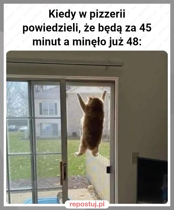 Kiedy w pizzerii powiedzieli, że będą za 45 minut a minęło już 48: