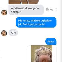 Świniojeż