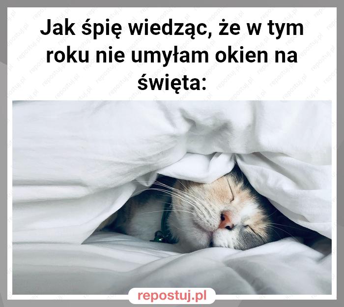 Jak śpię wiedząc, że w tym roku nie umyłam okien na święta: