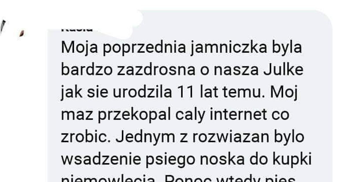 Repostujpl Zazdrosny Pies