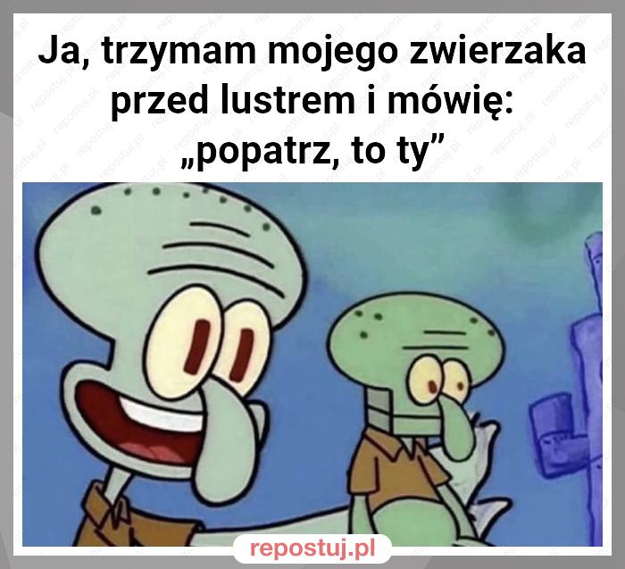 Ja, trzymam mojego zwierzaka przed lustrem i mówię: „popatrz, to ty”