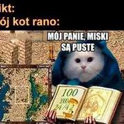 Koty rano xD