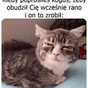 Coś ty zrobił