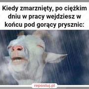 Prysznic po ciężkim dniu