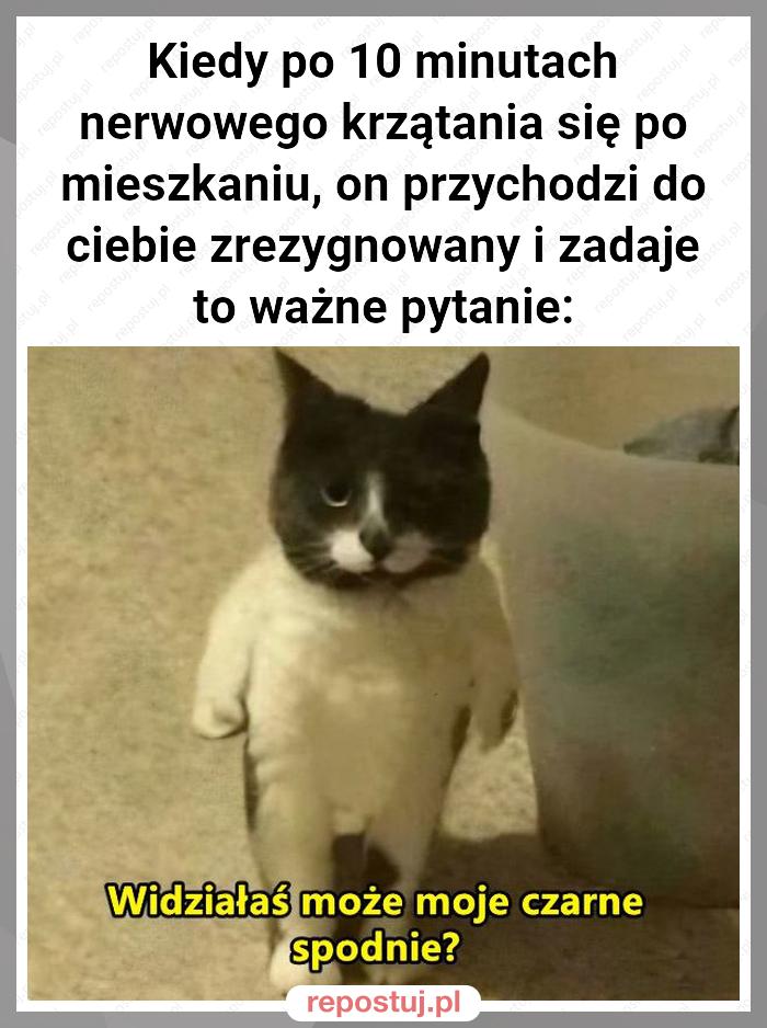 Kiedy po 10 minutach nerwowego krzątania się po mieszkaniu, on przychodzi do ciebie zrezygnowany i zadaje to ważne pytanie: