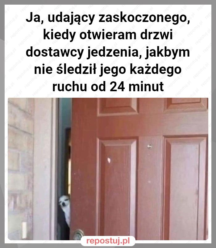 Ja, udający zaskoczonego, kiedy otwieram drzwi dostawcy jedzenia, jakbym nie śledził jego każdego ruchu od 24 minut