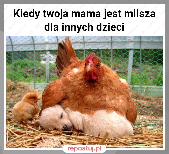 Kiedy twoja mama jest milsza dla innych dzieci