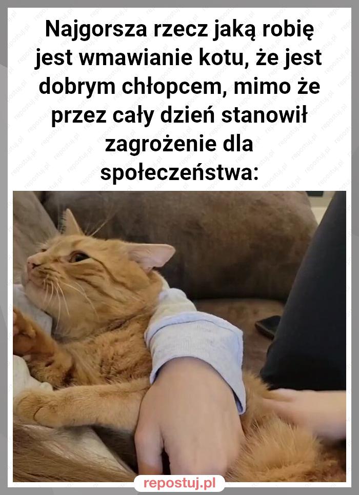 Najgorsza rzecz jaką robię jest wmawianie kotu, że jest dobrym chłopcem, mimo że przez cały dzień stanowił zagrożenie dla społeczeństwa: