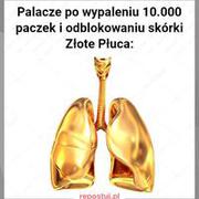 Palacze