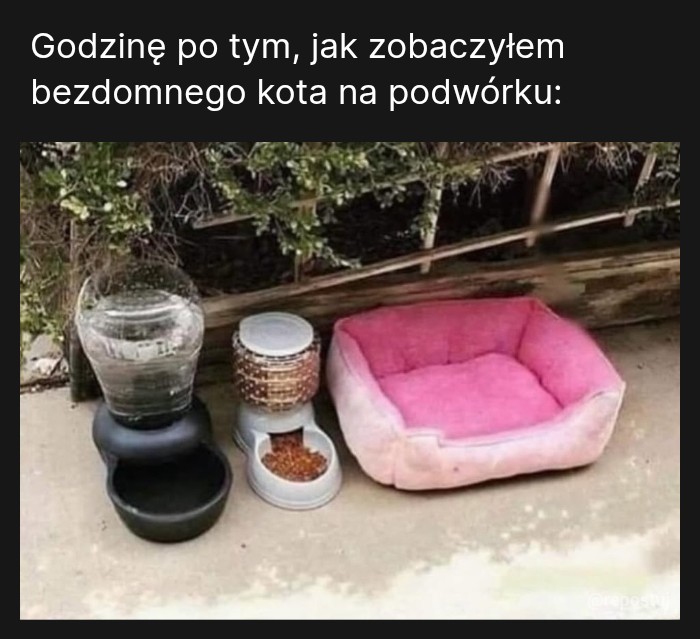 Mój ci on!
