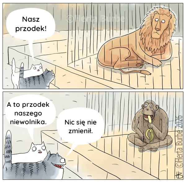 Nasz przodek