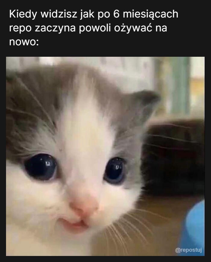 Była mała przerwa ale ile można żyć bez memów? :>