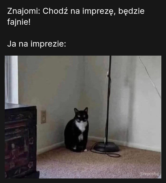 Imprezowanie