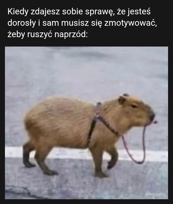 Mem