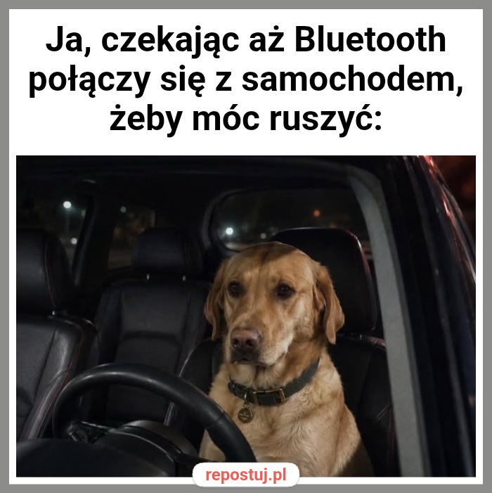 Mem