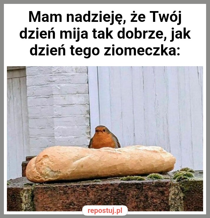 Mem
