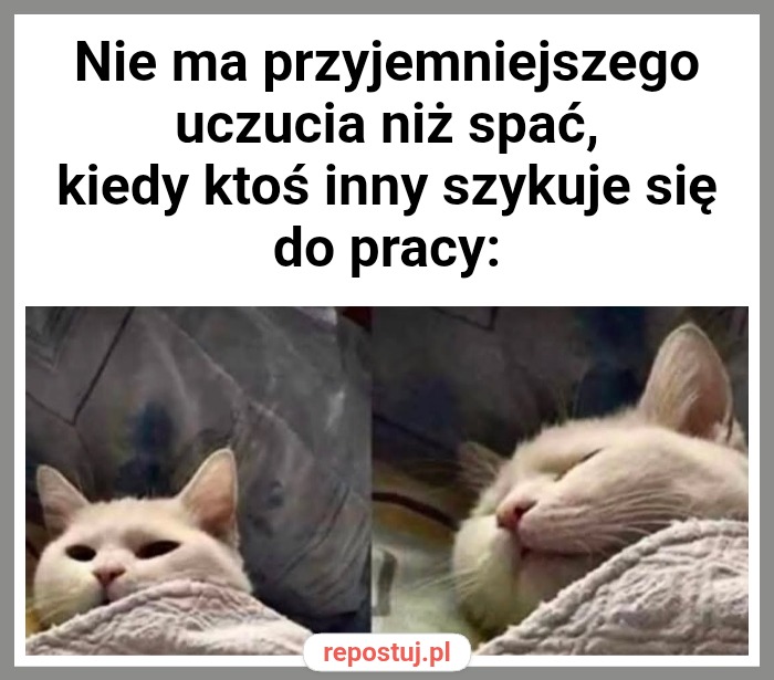 Mem