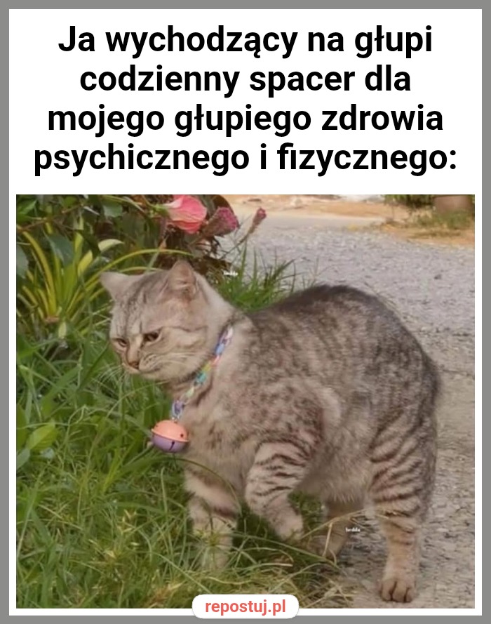 Mem