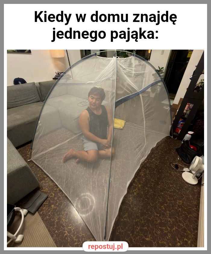 Mem
