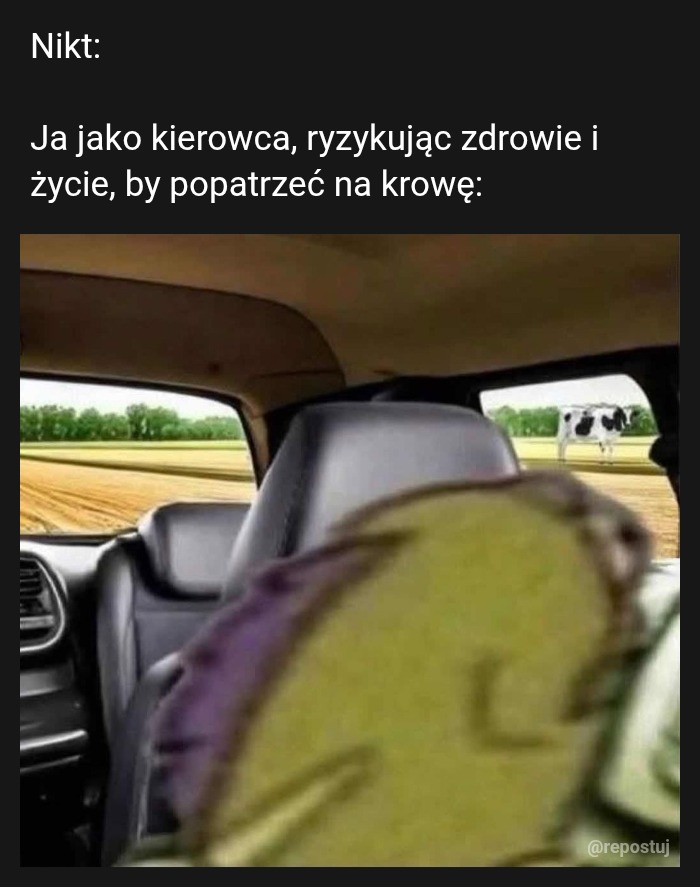 Mem