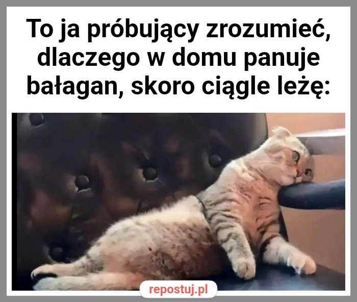 Mem