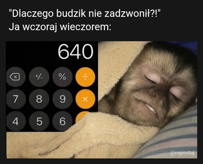 Mem