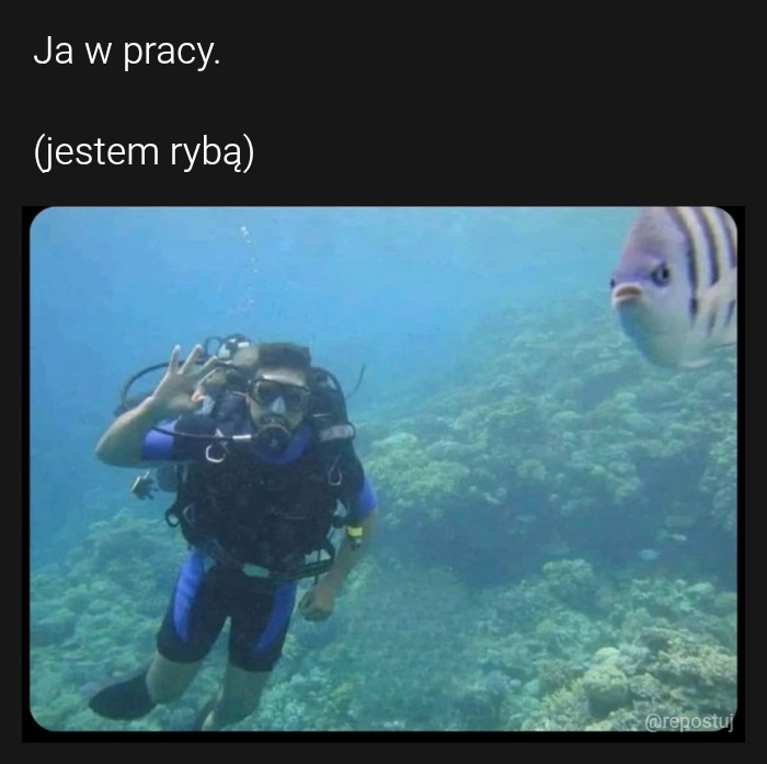 Mem
