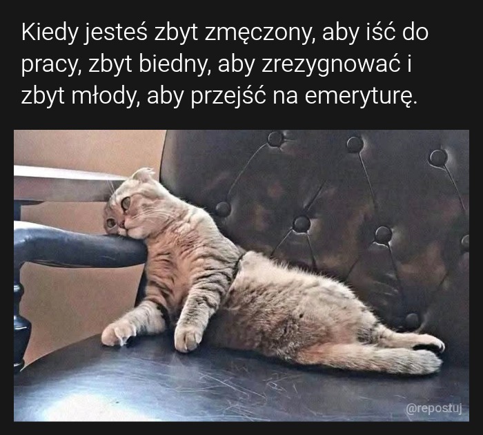 Mem