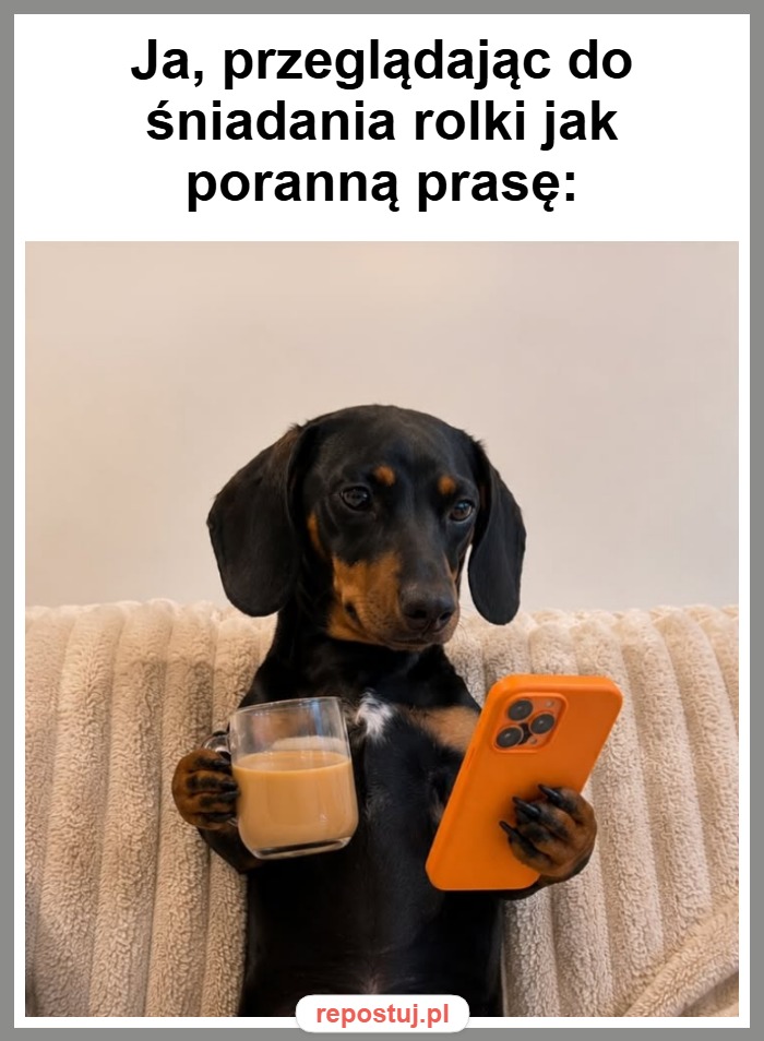 Mem