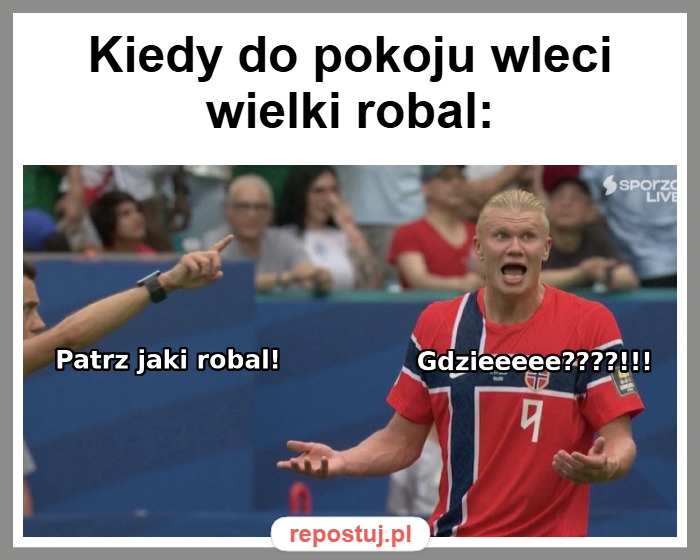 Mem