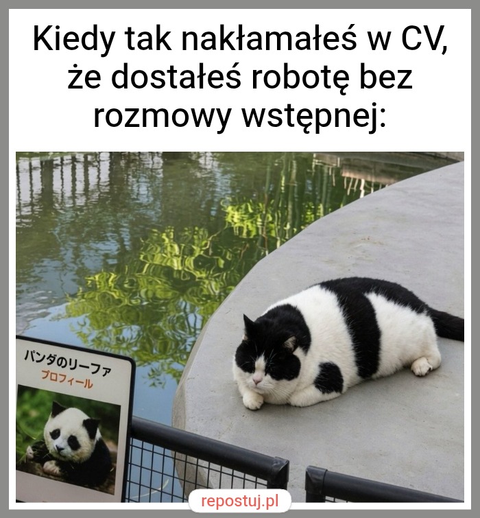 Mem
