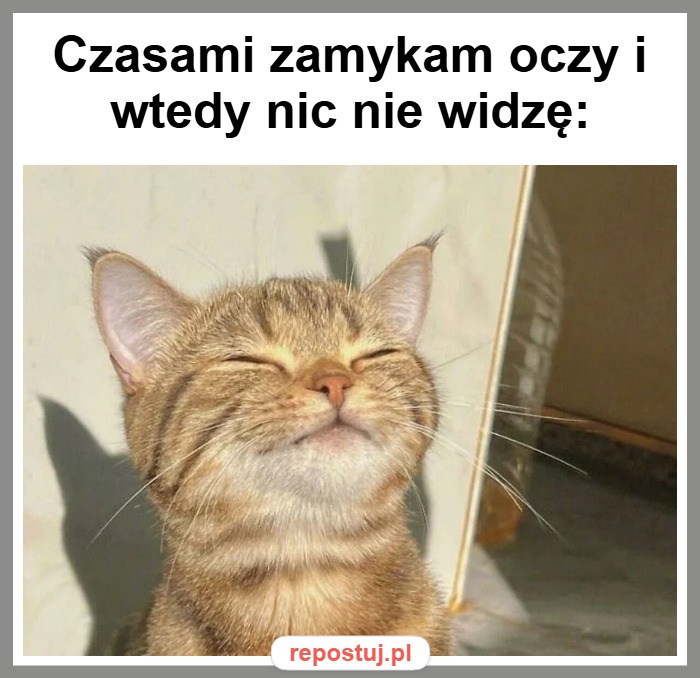 Mem