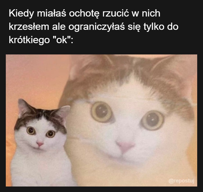Mem