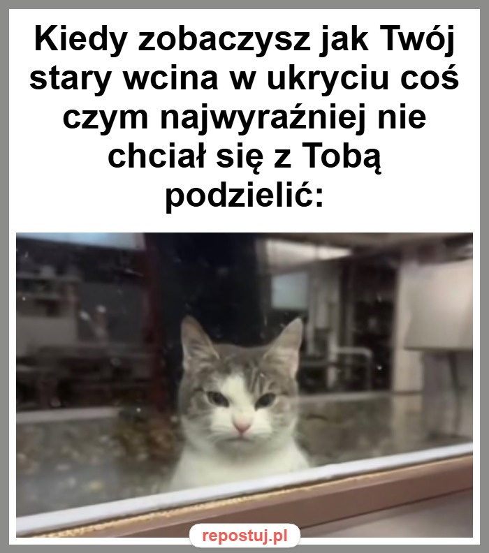 Mem