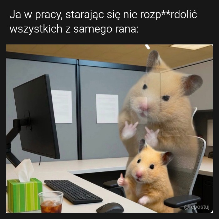 Mem