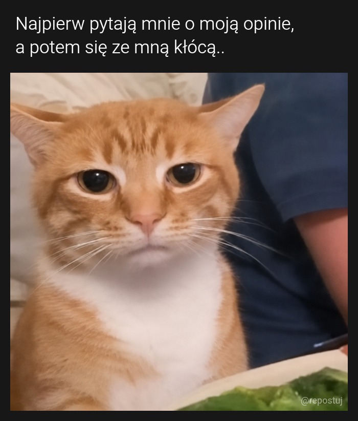 Mem