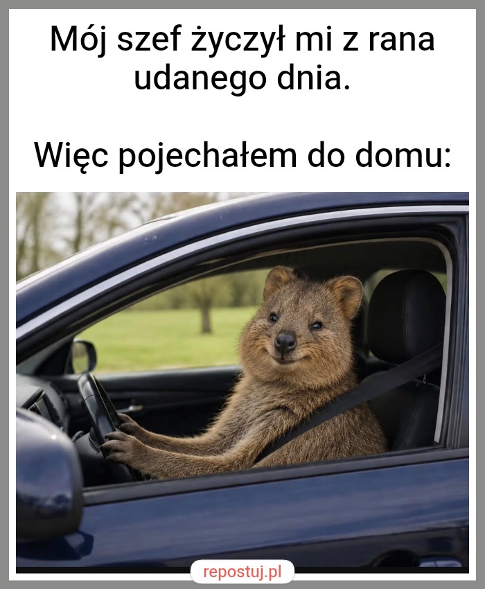 Mem