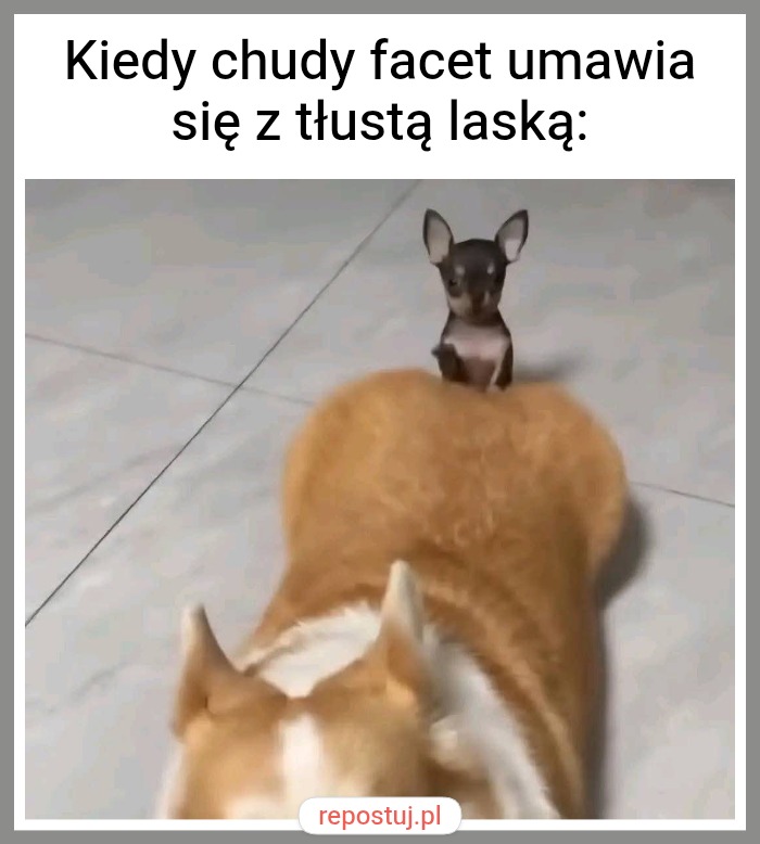 Mem