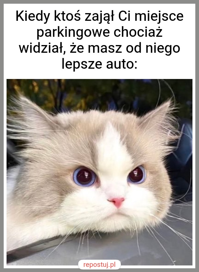 Mem