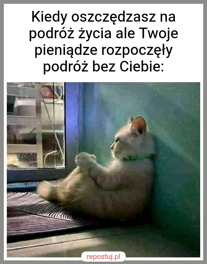 Mem