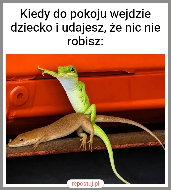 Mem