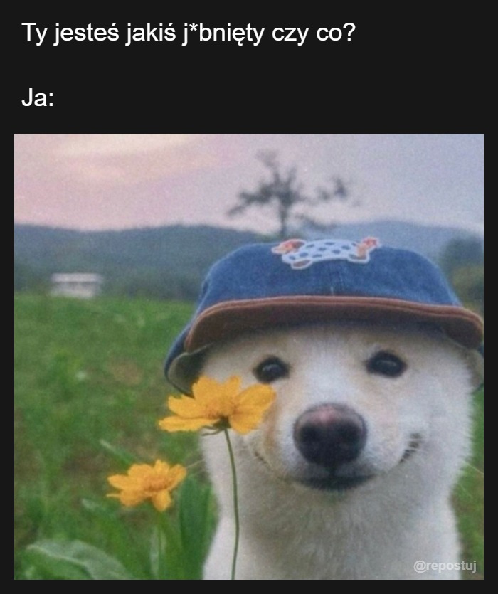 Mem