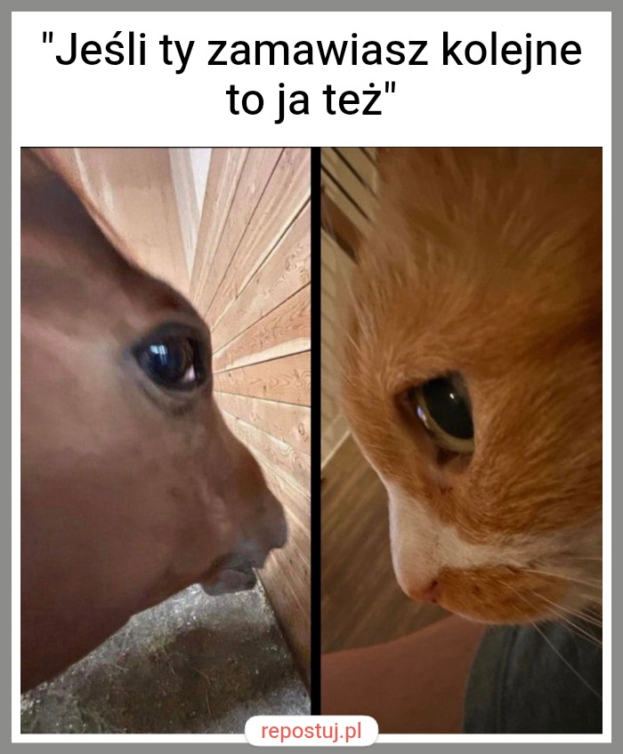 Mem